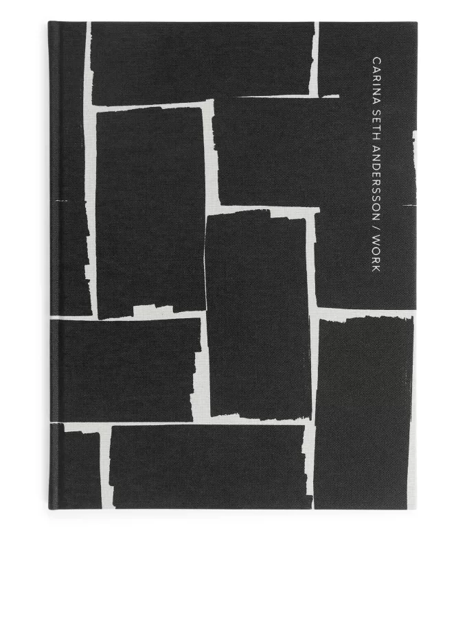 Carina Seth Andersson: Arbeit