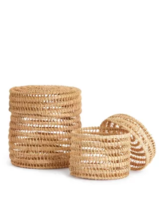 Palmen-Aufbewahrungsbox 10 cm