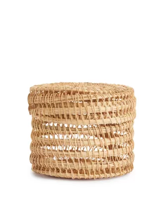 Palmen-Aufbewahrungsbox 10 cm