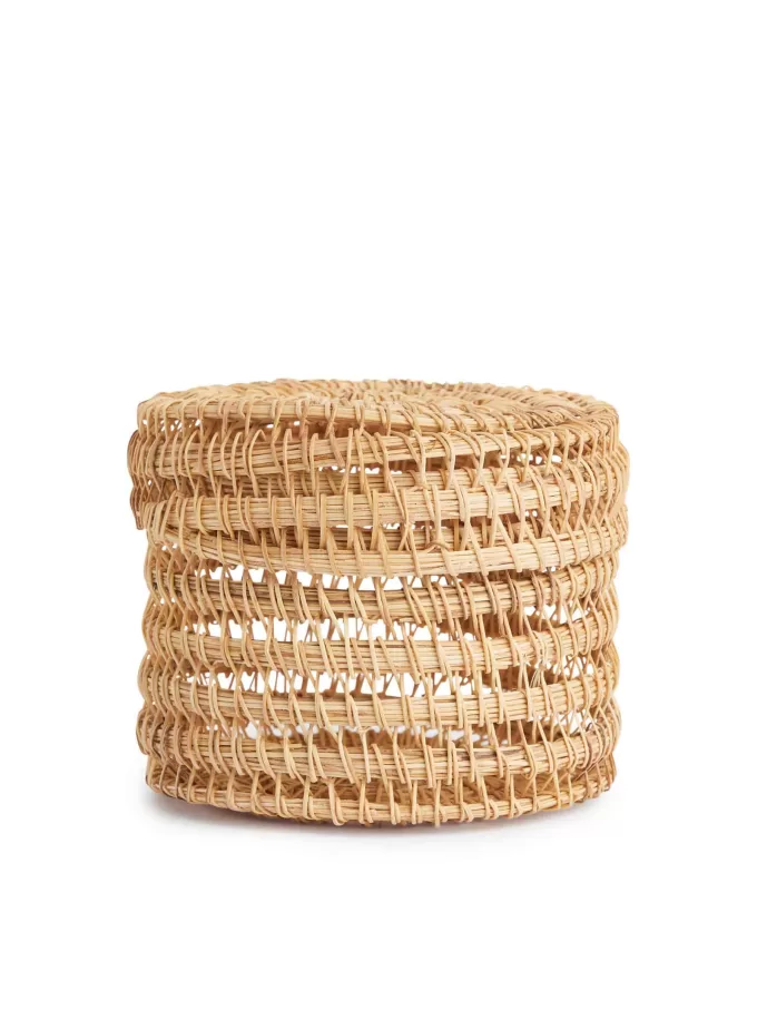 Palmen-Aufbewahrungsbox 10 cm